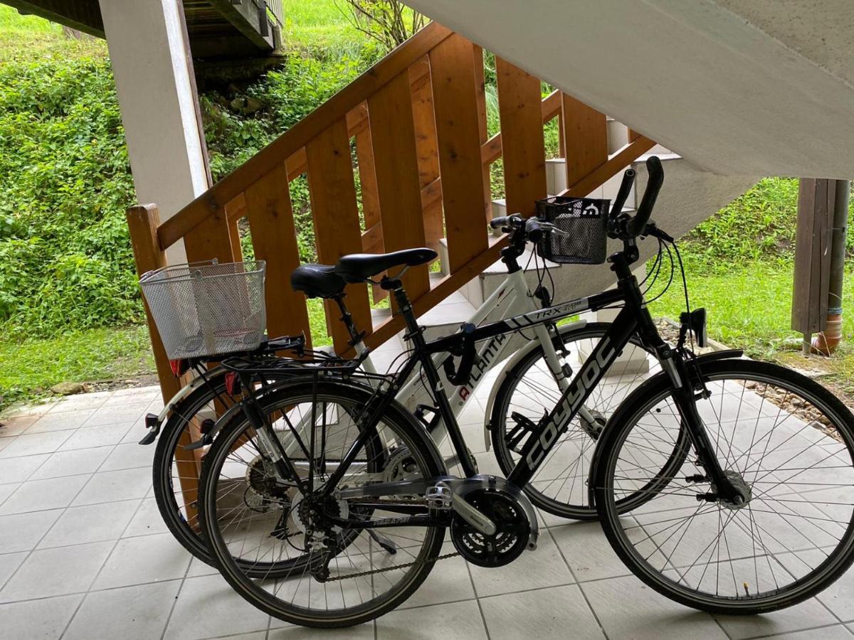 Geschmackvolles Appartement Am Donauradweg Obernzell Екстериор снимка